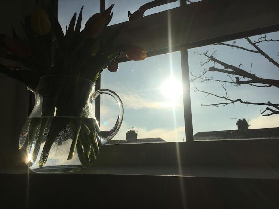 Brighton Boutique Garden Studio With Free Parking Eksteriør bilde